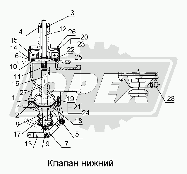 К сожалению, изображение отсутствует