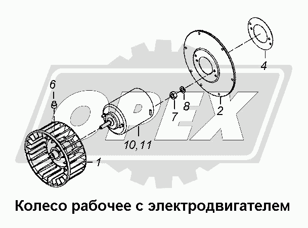 К сожалению, изображение отсутствует