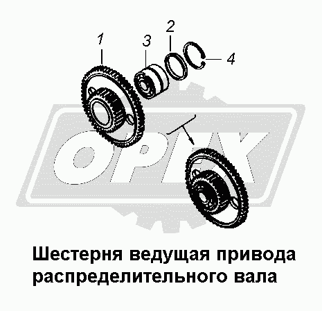 К сожалению, изображение отсутствует