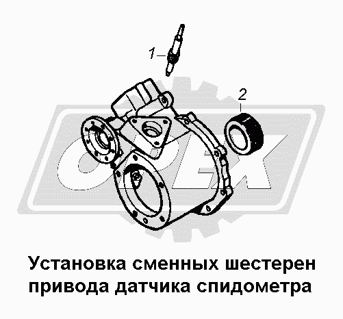 К сожалению, изображение отсутствует