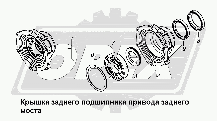 К сожалению, изображение отсутствует