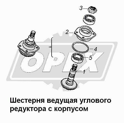 К сожалению, изображение отсутствует