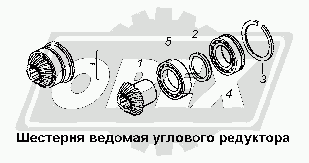 К сожалению, изображение отсутствует