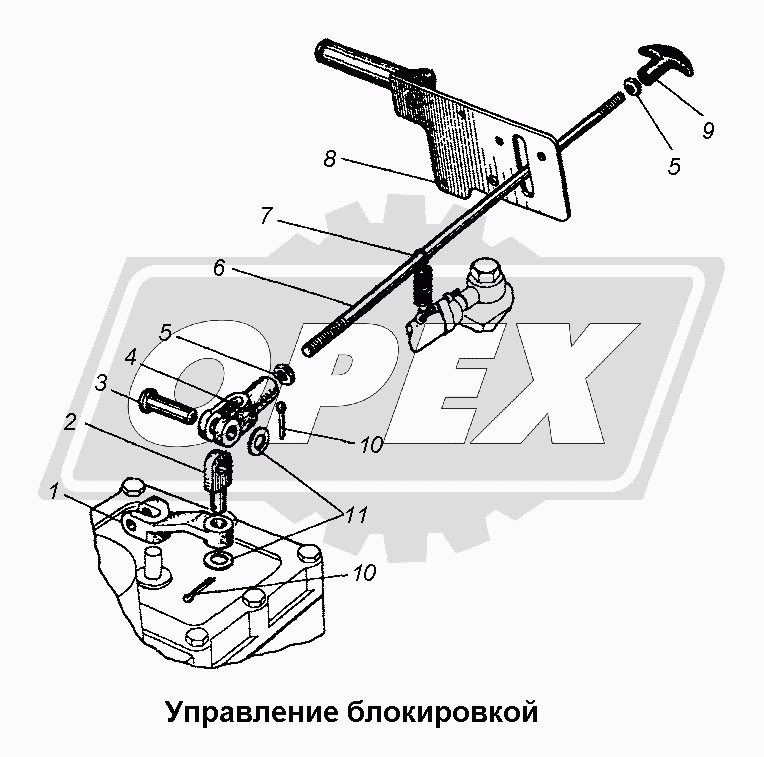К сожалению, изображение отсутствует