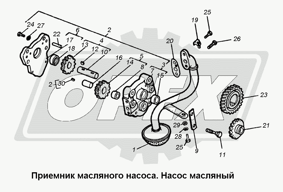 К сожалению, изображение отсутствует