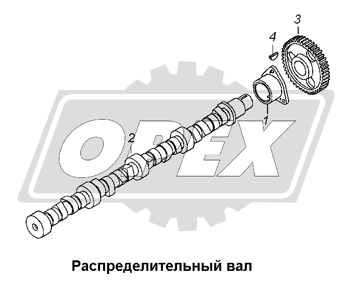 К сожалению, изображение отсутствует