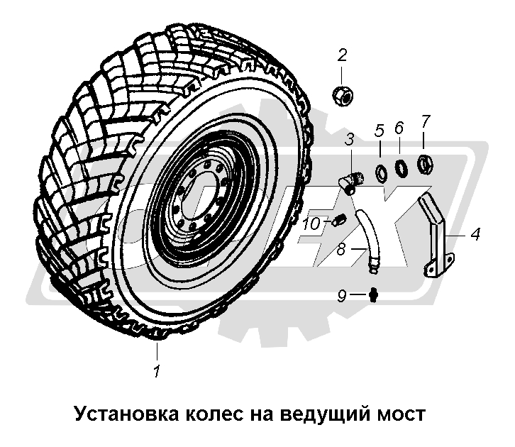 К сожалению, изображение отсутствует