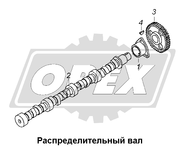 К сожалению, изображение отсутствует