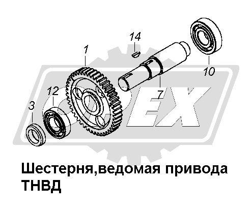 К сожалению, изображение отсутствует