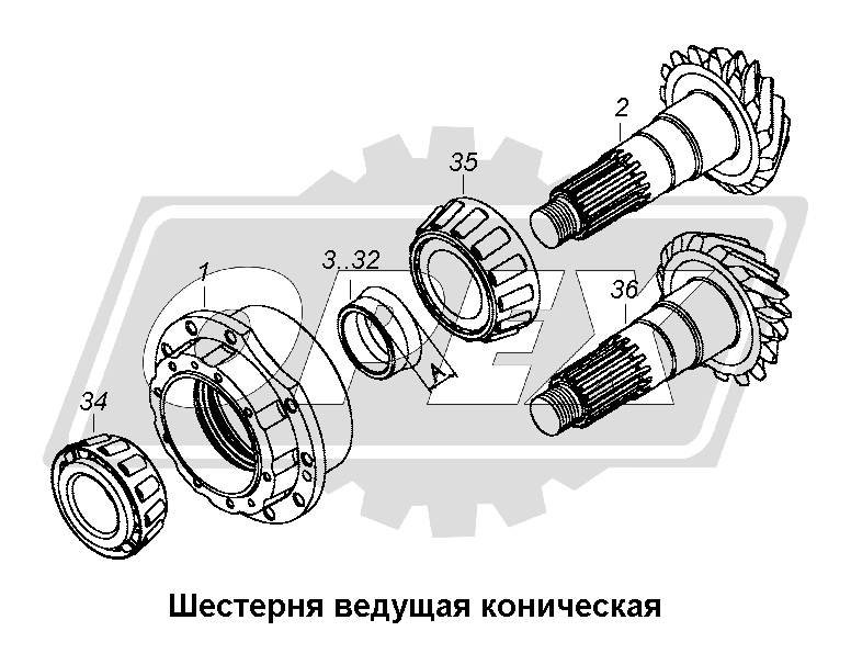 К сожалению, изображение отсутствует