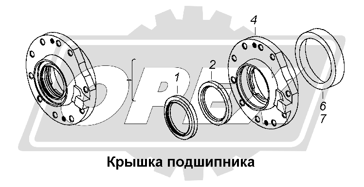 К сожалению, изображение отсутствует