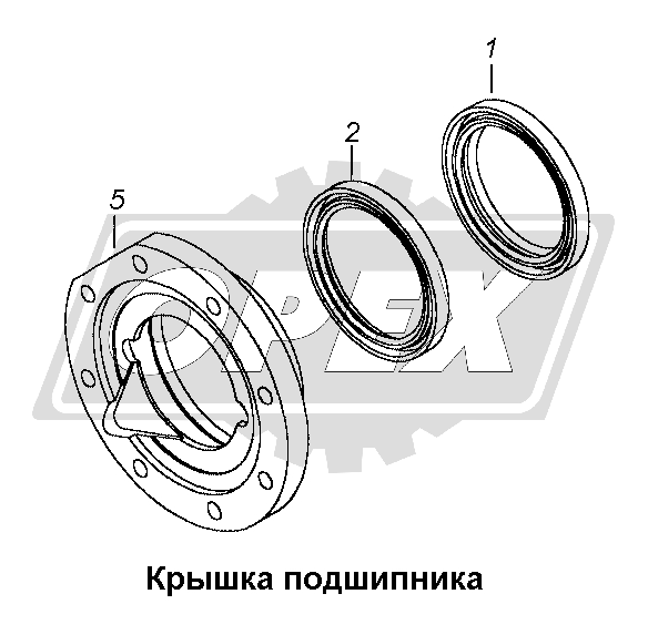 К сожалению, изображение отсутствует