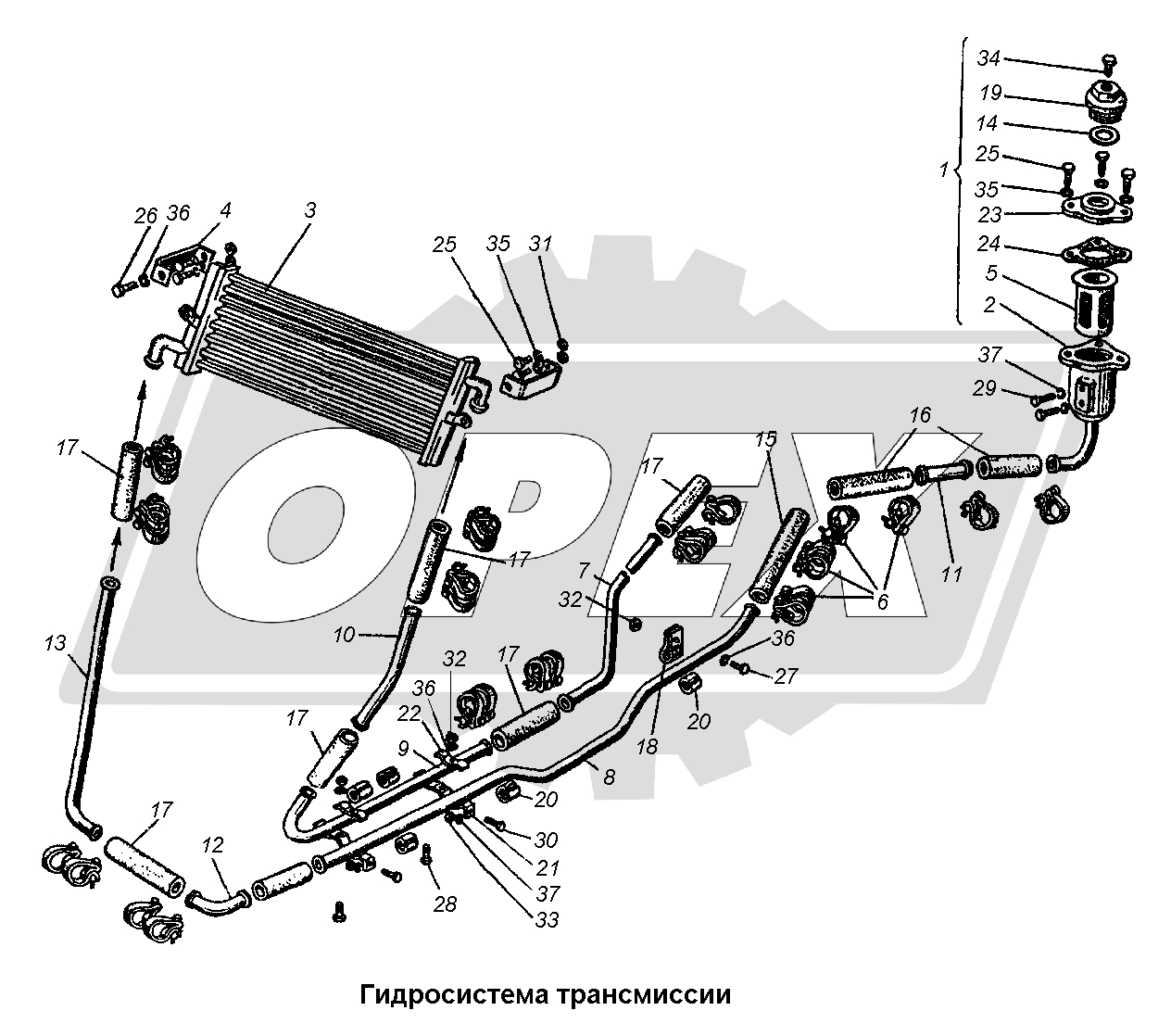 К сожалению, изображение отсутствует