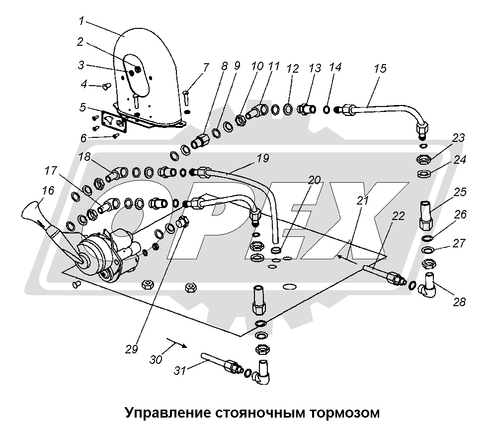К сожалению, изображение отсутствует