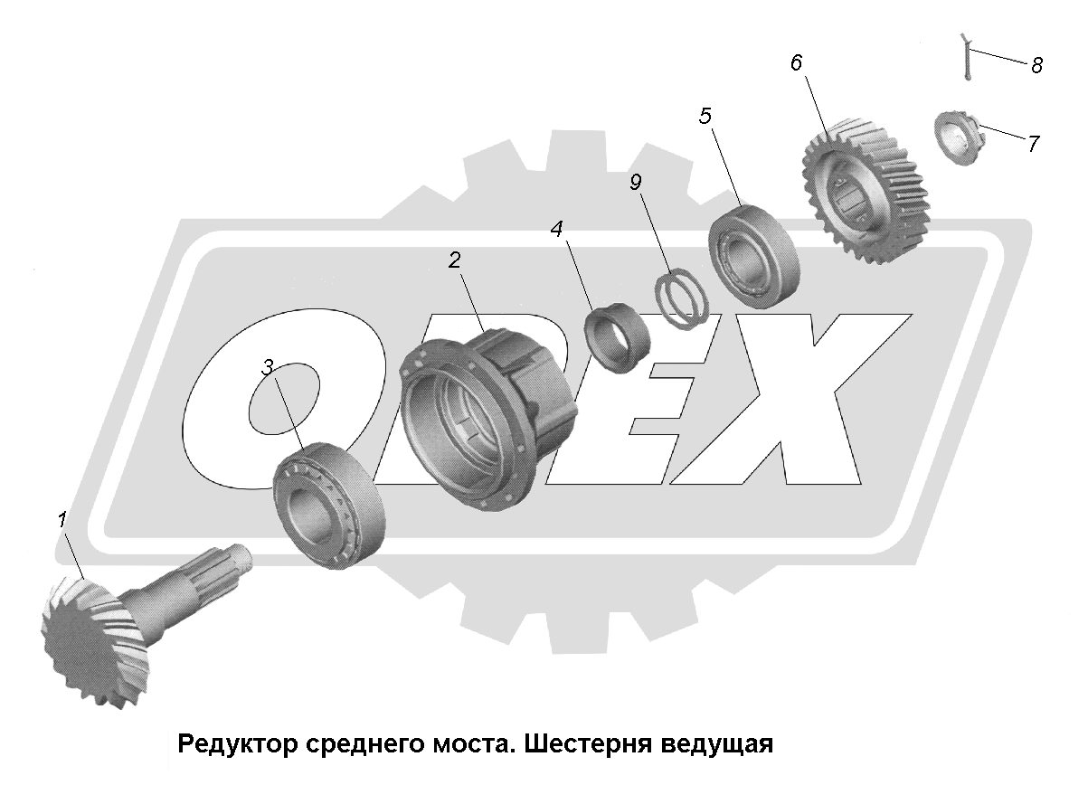 К сожалению, изображение отсутствует