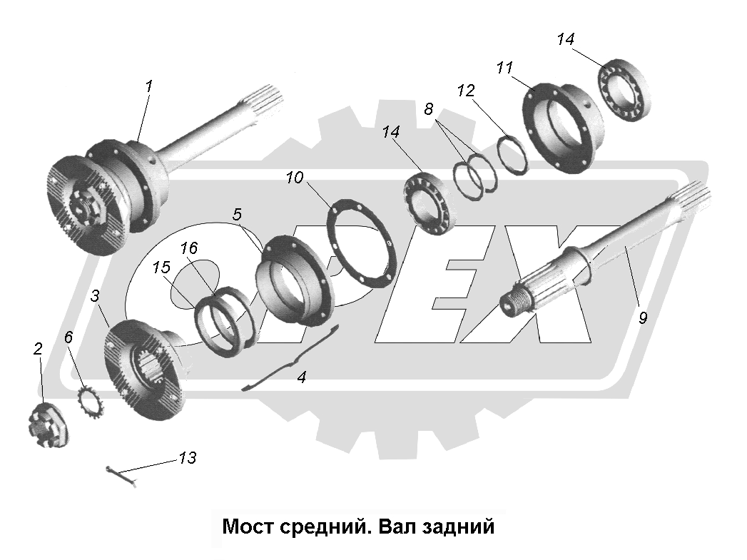 К сожалению, изображение отсутствует