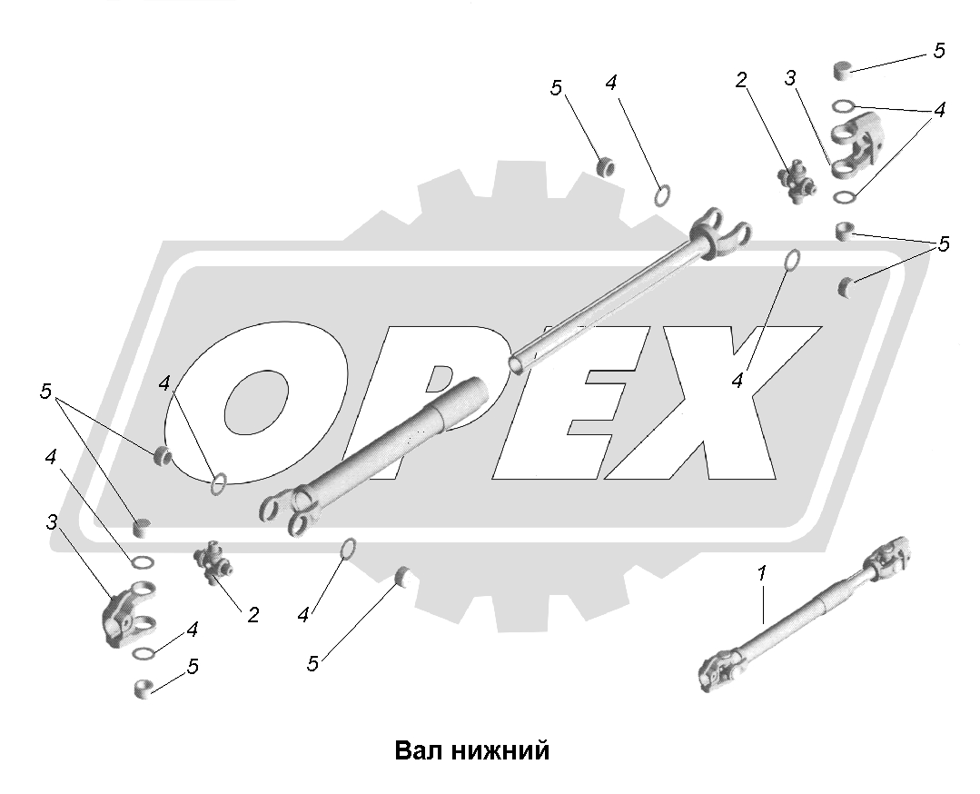 К сожалению, изображение отсутствует