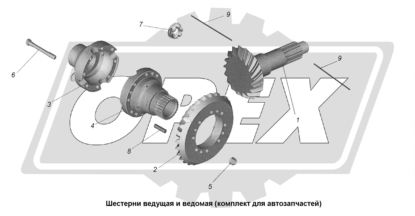 К сожалению, изображение отсутствует