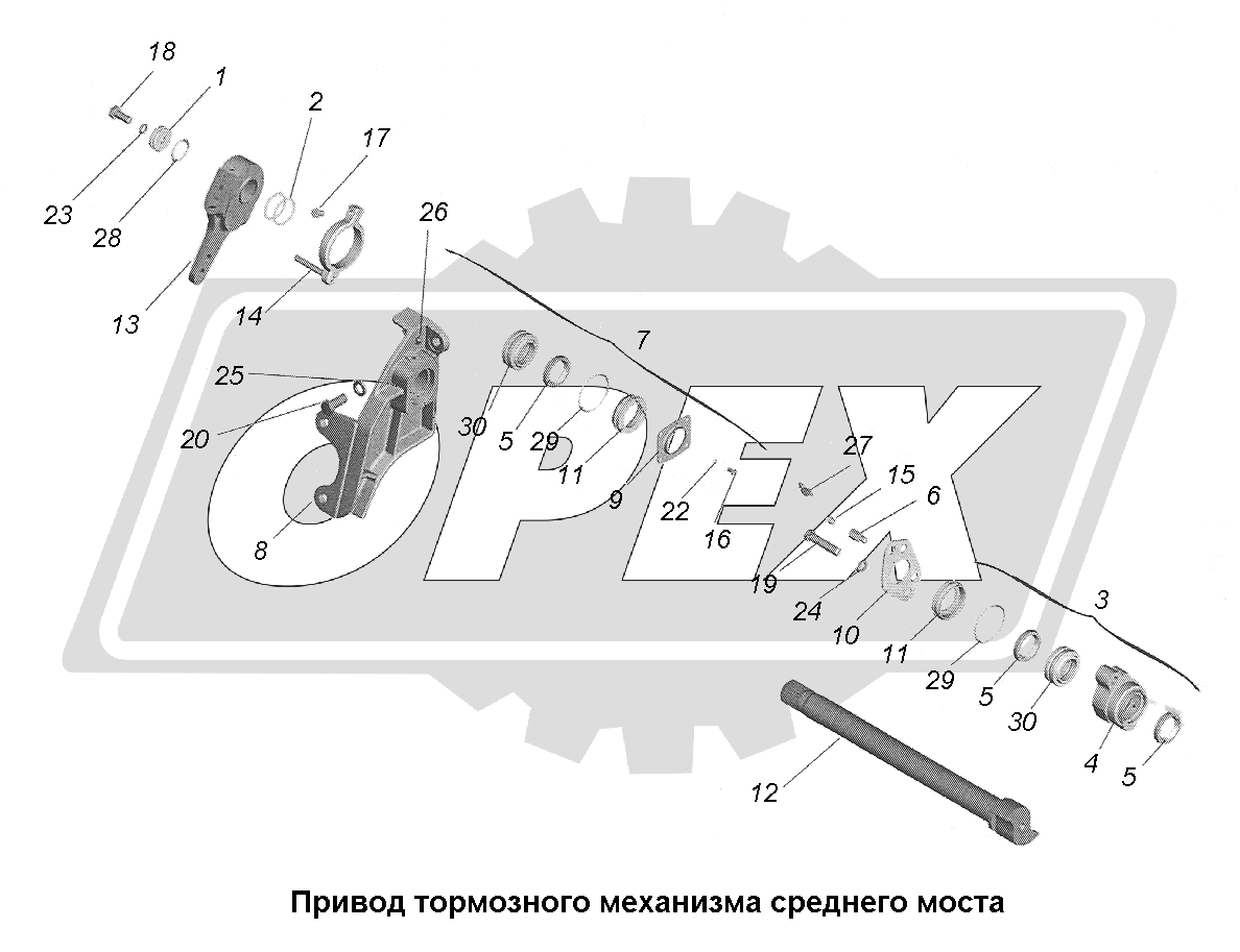К сожалению, изображение отсутствует
