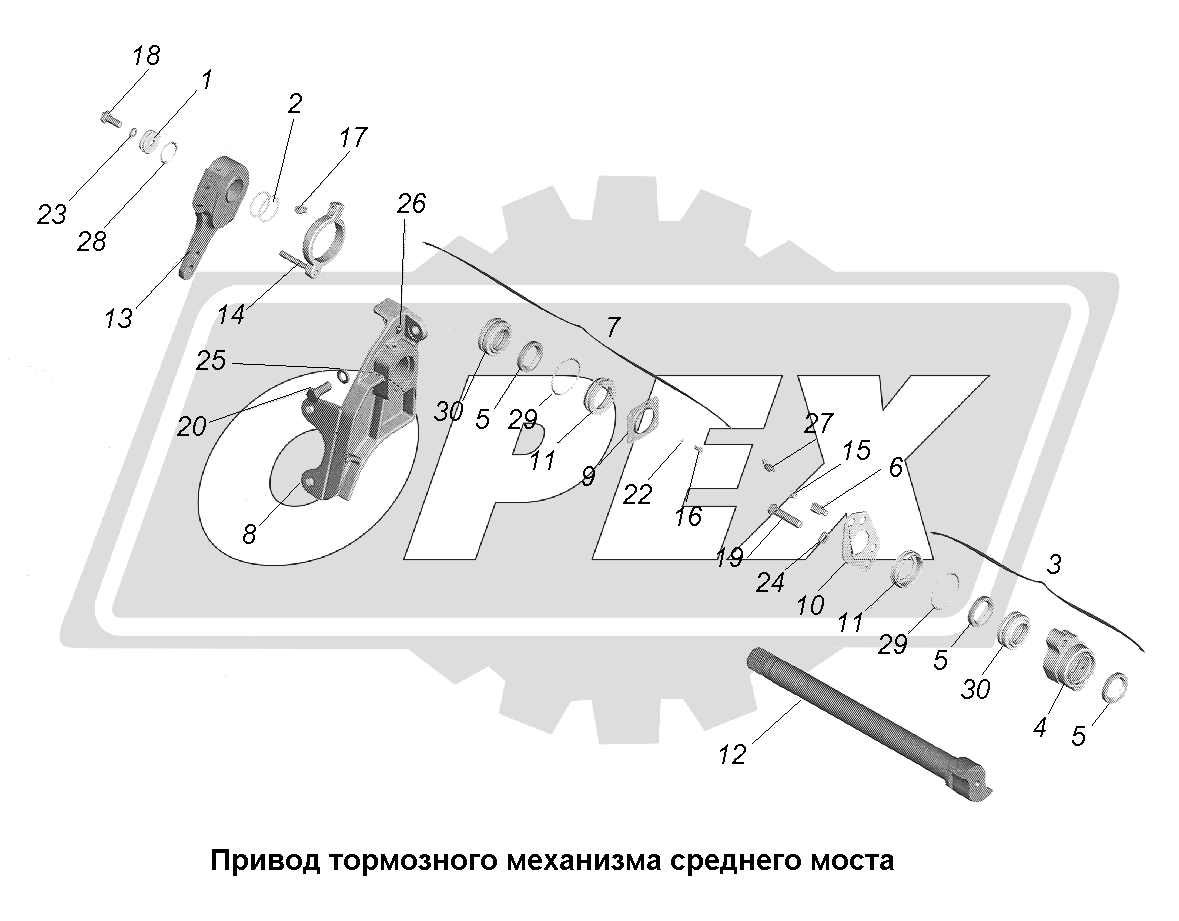 К сожалению, изображение отсутствует