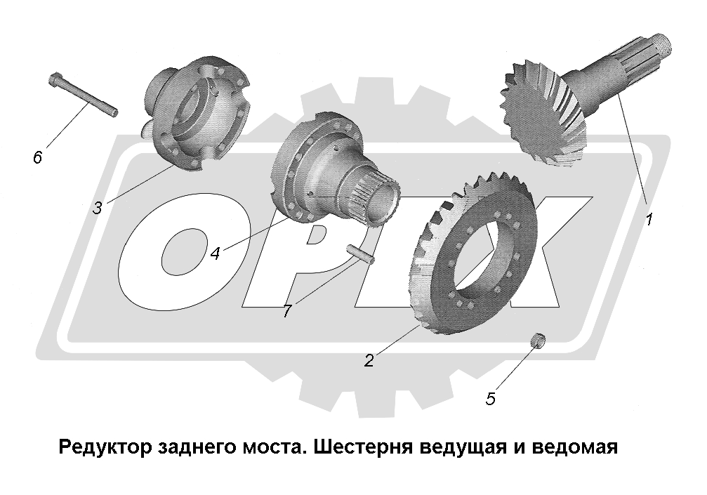 К сожалению, изображение отсутствует