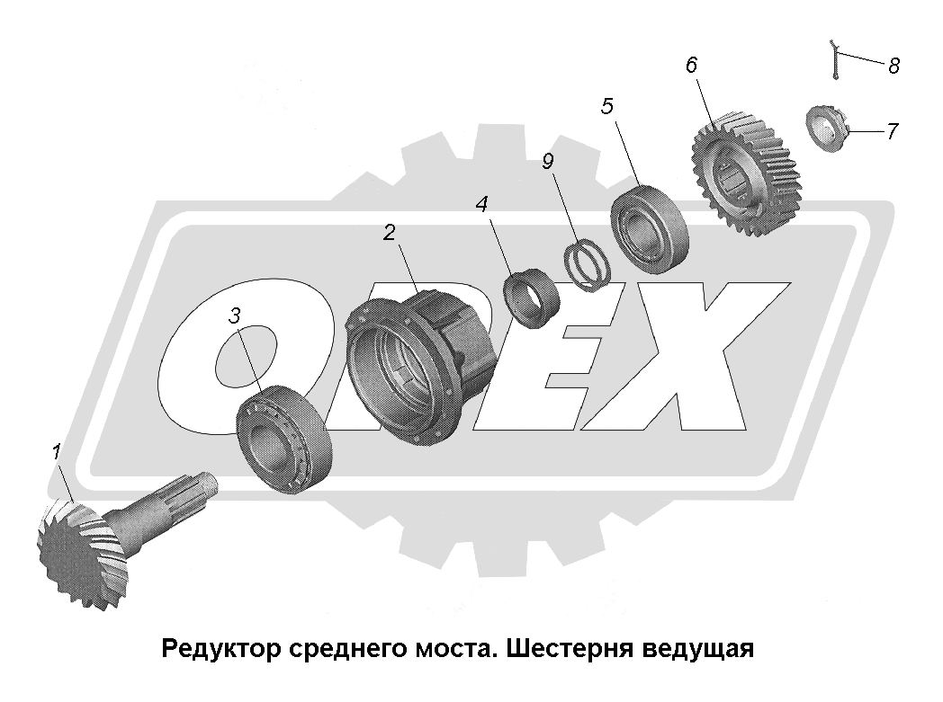 К сожалению, изображение отсутствует