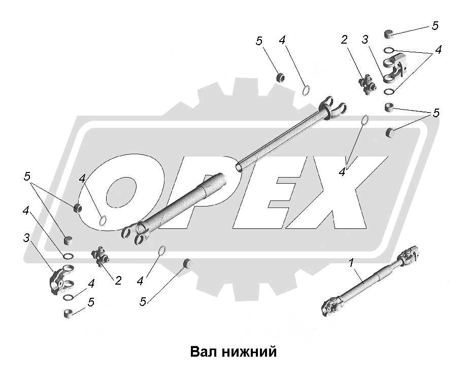 К сожалению, изображение отсутствует