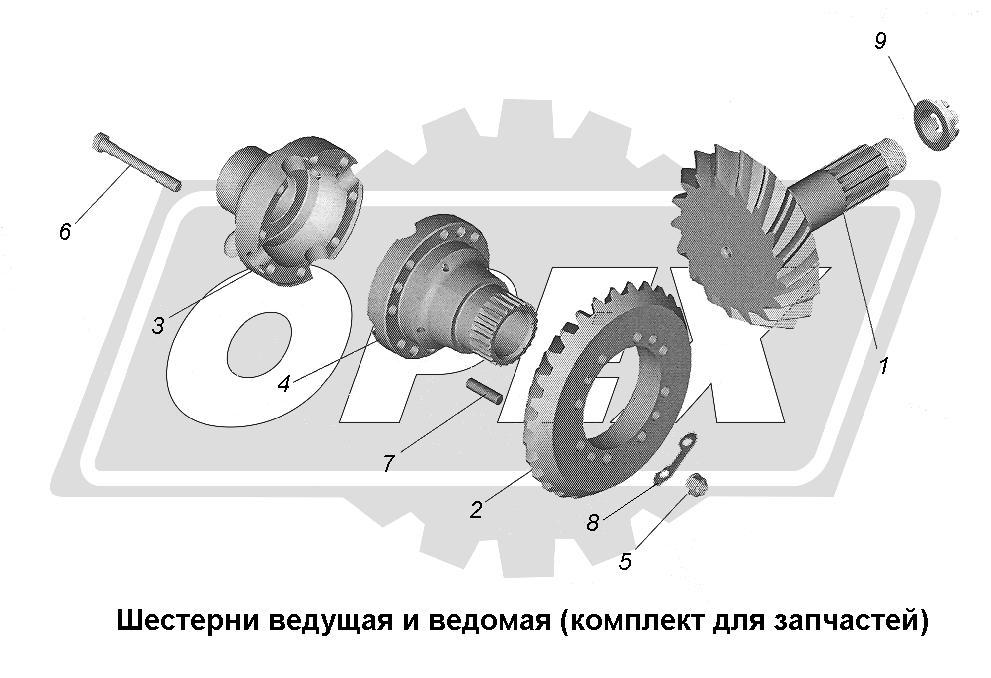 К сожалению, изображение отсутствует