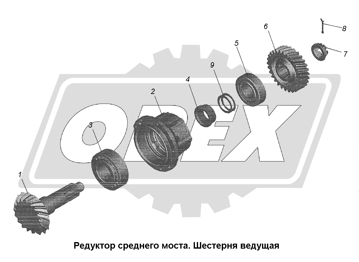 К сожалению, изображение отсутствует