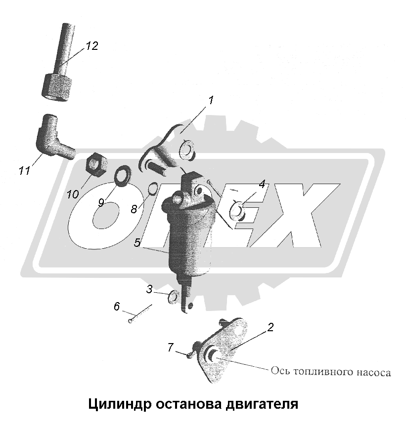 К сожалению, изображение отсутствует