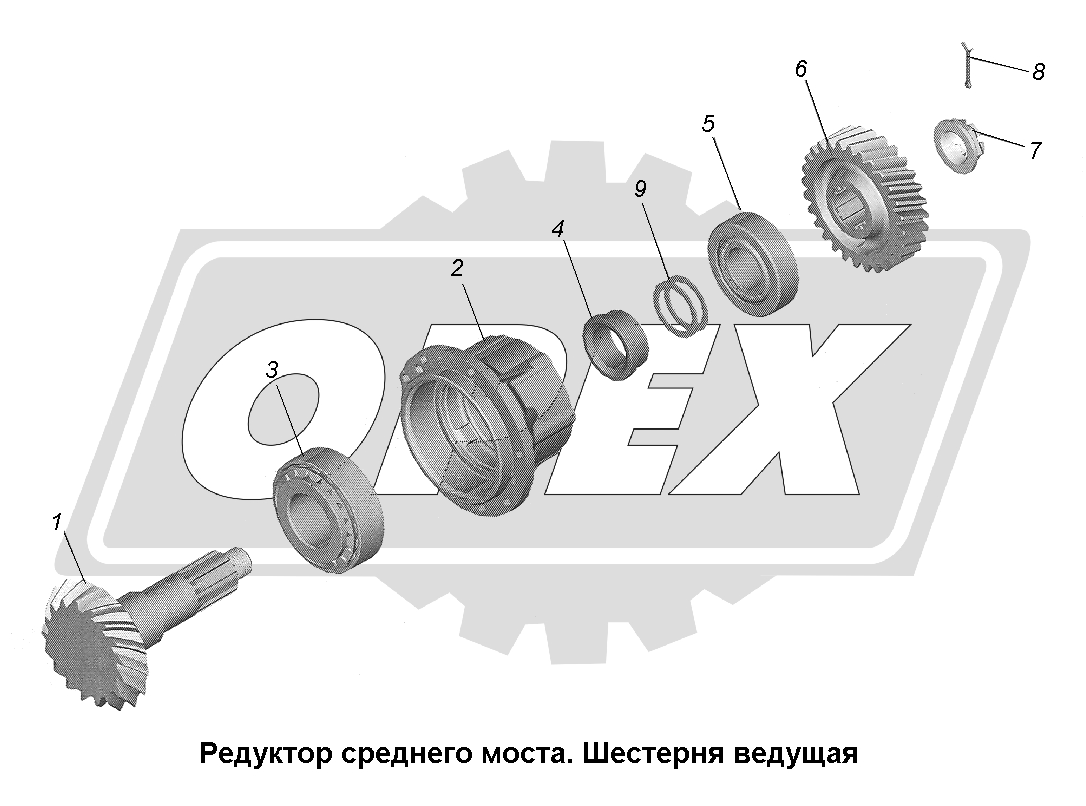 К сожалению, изображение отсутствует