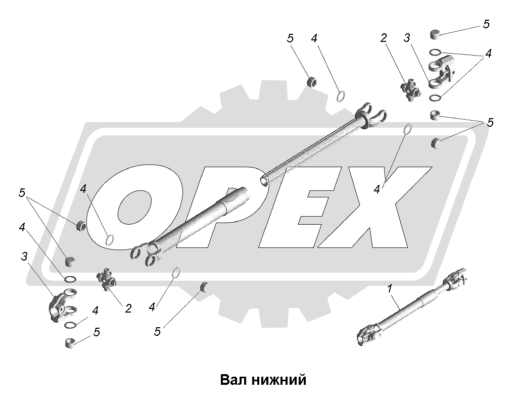 К сожалению, изображение отсутствует