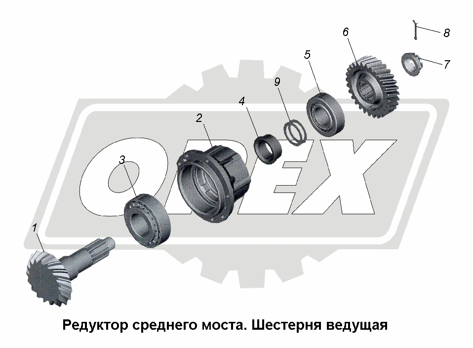 К сожалению, изображение отсутствует