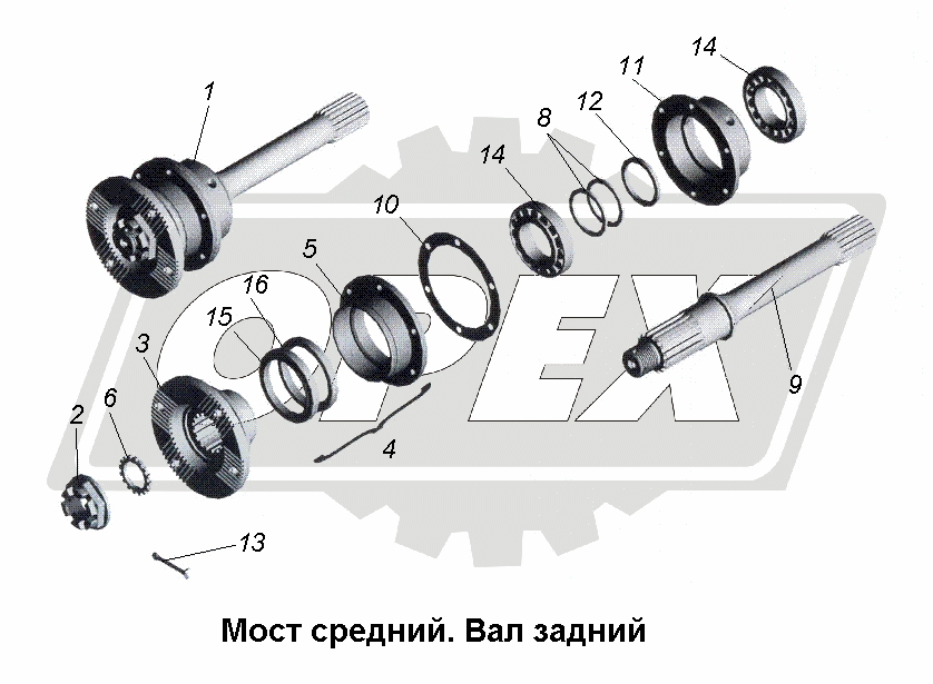 К сожалению, изображение отсутствует