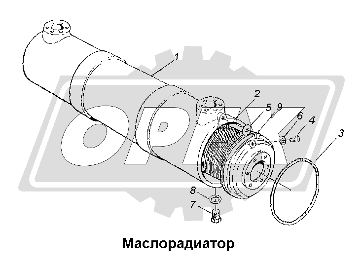 К сожалению, изображение отсутствует